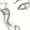 �V�g�̎�